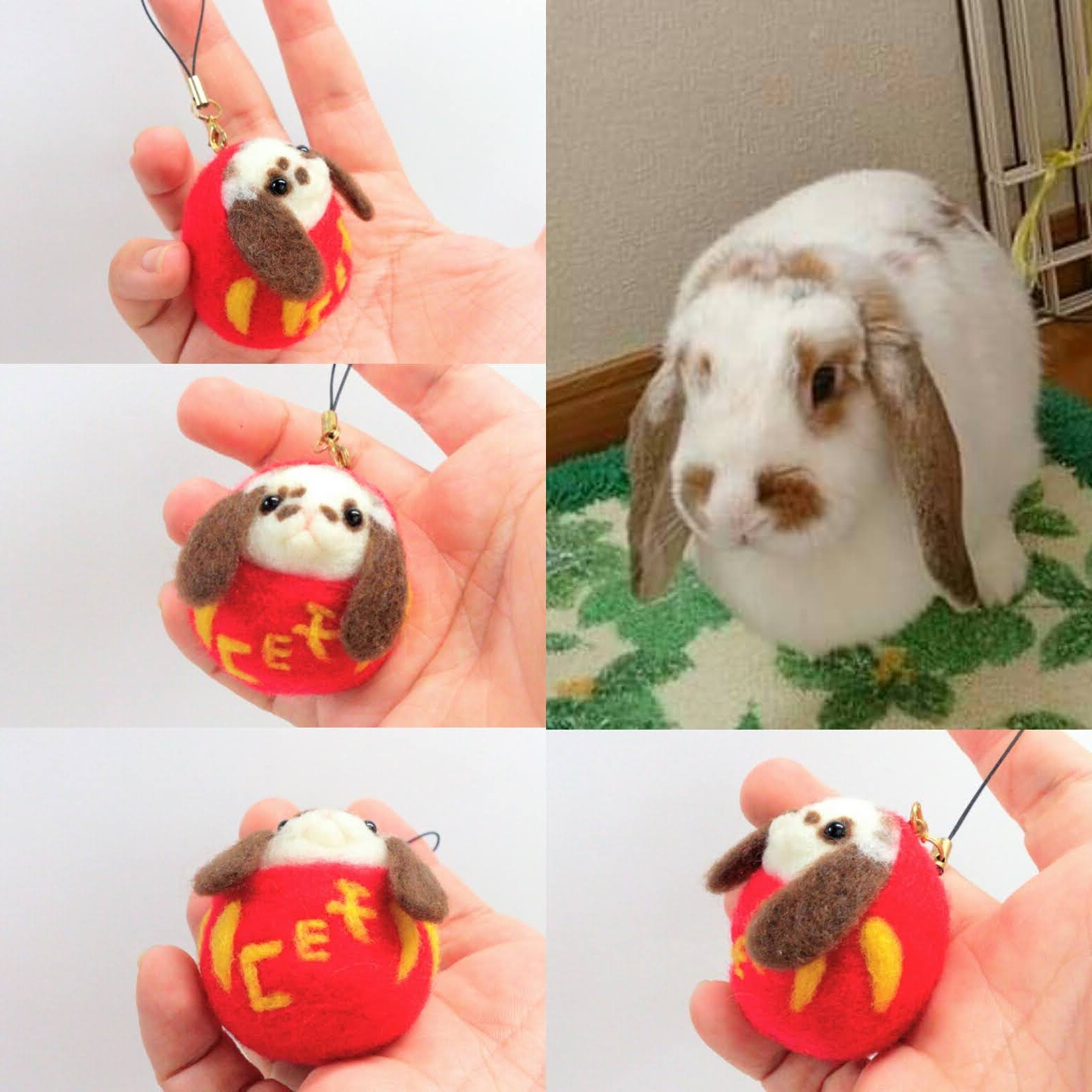 21 8月期 ペットを亡くした寂しさで悩む方へオーダーグッズを届けたい Wonder Stream